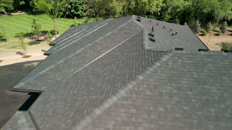 Best Roof Moss and Algae Removal  in Hybla Lley, VA