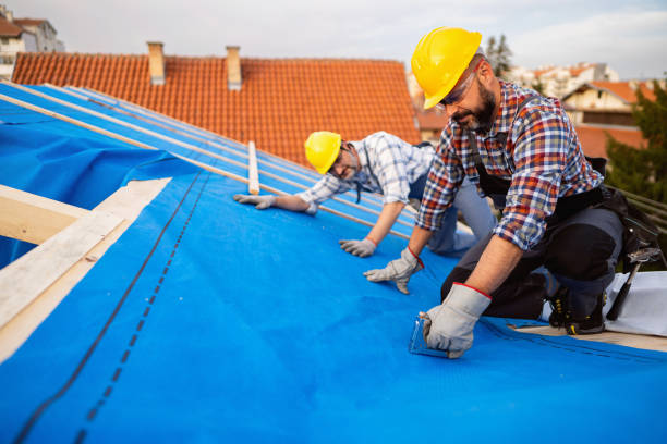 Best Gutter Installation and Repair  in Hybla Lley, VA